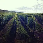 Zur Alten Rebe Und Weingut Конц