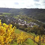 Zur Alten Rebe Und Weingut Дом отдыха Конц