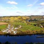 別荘 Zur Alten Rebe Und Weingut コンツ