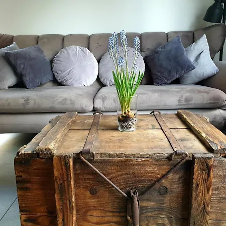 Tatil Evi Zur Alten Rebe