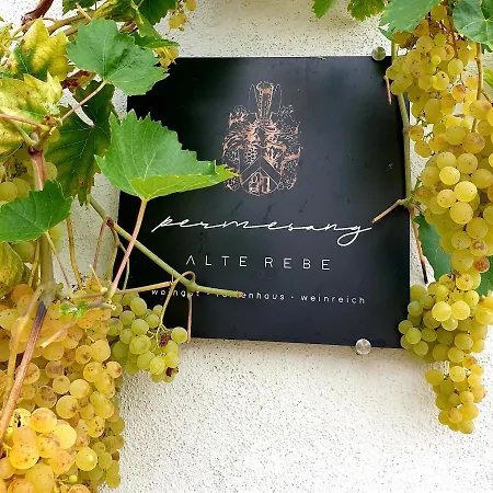 Zur Alten Rebe Und Weingut * קונז