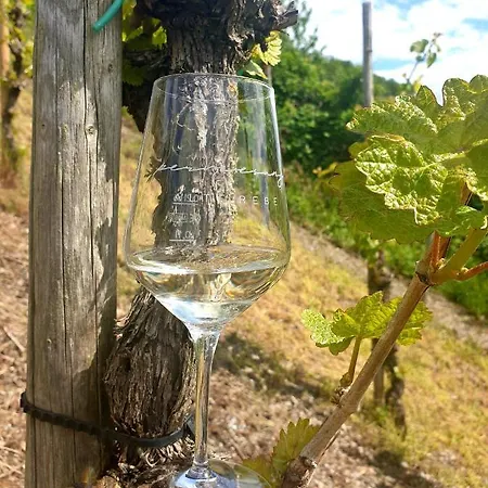 Zur Alten Rebe Und Weingut Holiday home