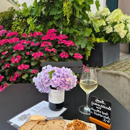 Zur Alten Rebe Hébergement de vacances Konz