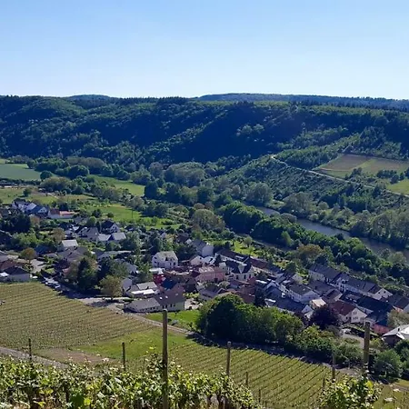 Zur Alten Rebe Und Weingut