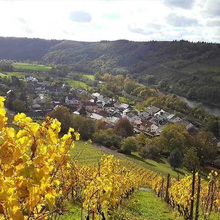 Zur Alten Rebe Und Weingut Holiday home Konz