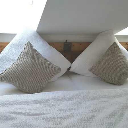 Hébergement de vacances Zur Alten Rebe *