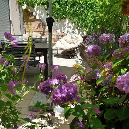 Zur Alten Rebe Und Weingut Holiday home
