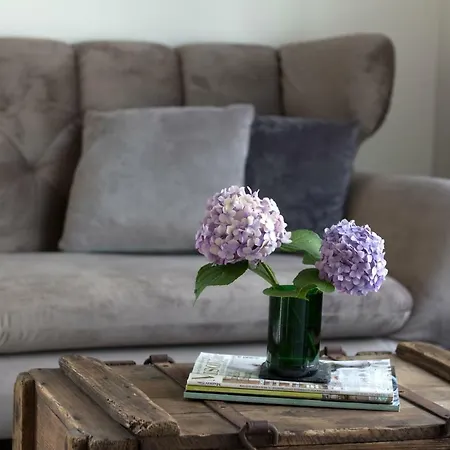 Zur Alten Rebe Hébergement de vacances Konz