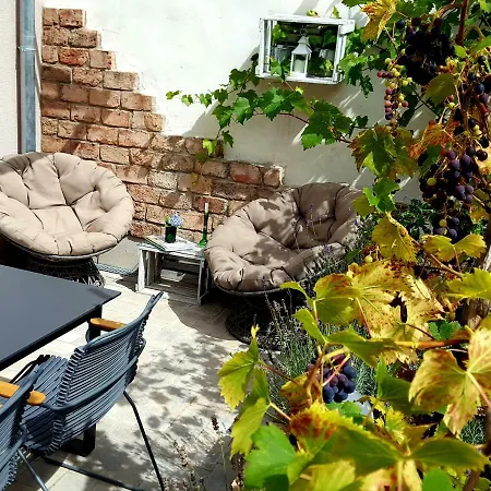 בית נופש Zur Alten Rebe Und Weingut