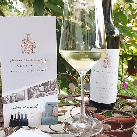 Zur Alten Rebe Und Weingut Holiday home Konz
