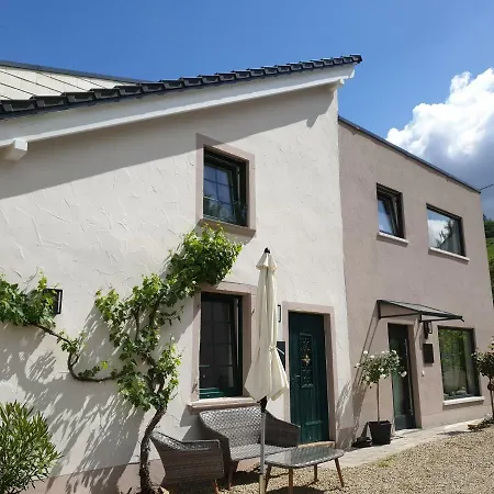 Holiday home Zur Alten Rebe Und Weingut Konz