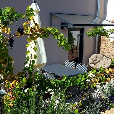 Zur Alten Rebe Hébergement de vacances Konz