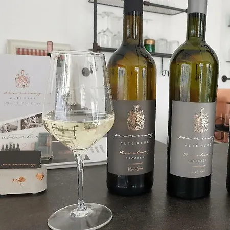 Zur Alten Rebe Und Weingut *