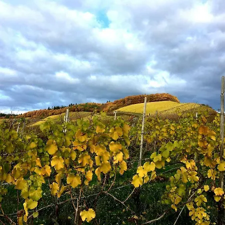 Zur Alten Rebe * Konz