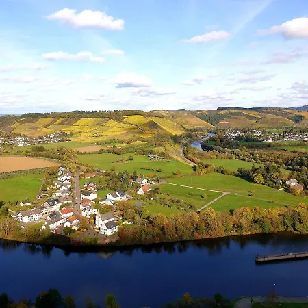 別荘 Zur Alten Rebe Und Weingut コンツ