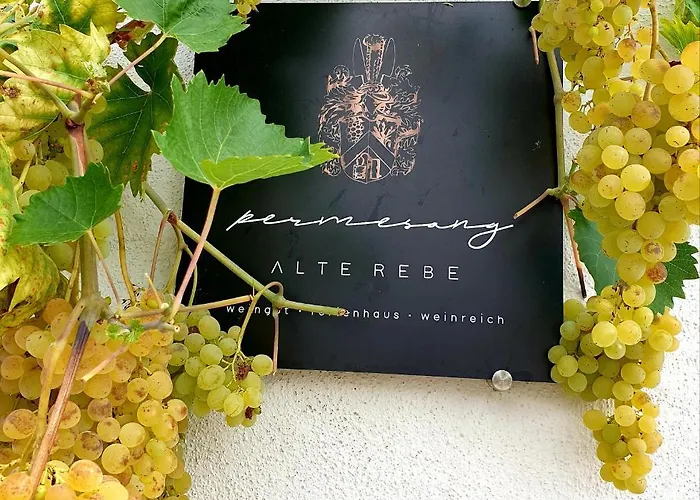 Zur Alten Rebe Und Weingut * Konz