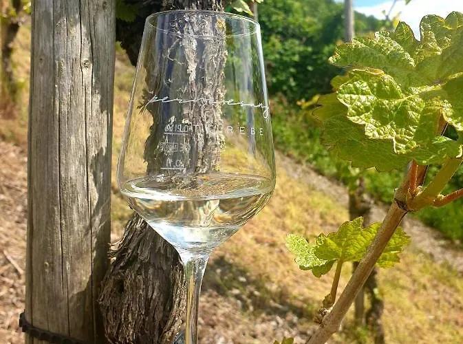 Zur Alten Rebe Und Weingut 別荘