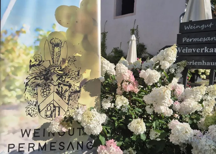 Casa de Férias Zur Alten Rebe Und Weingut *