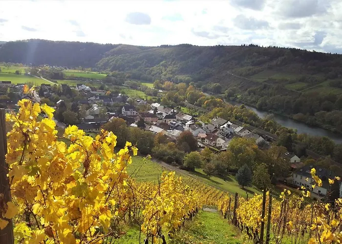 Zur Alten Rebe Und Weingut Vakantiehuis Konz