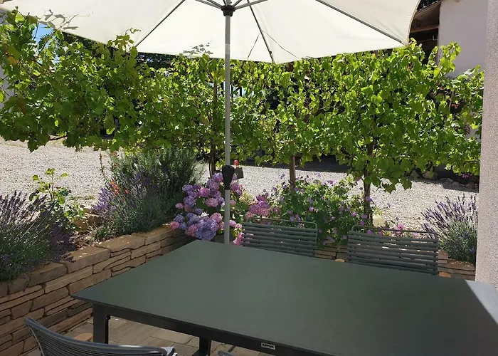 Zur Alten Rebe Und Weingut *