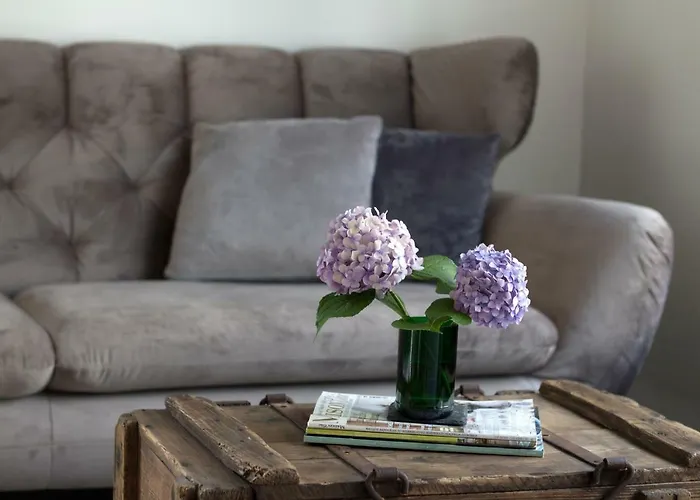 Zur Alten Rebe Tatil Evi Konz