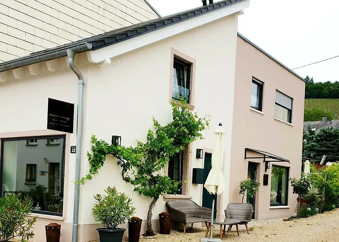 Zur Alten Rebe Und Weingut Konz