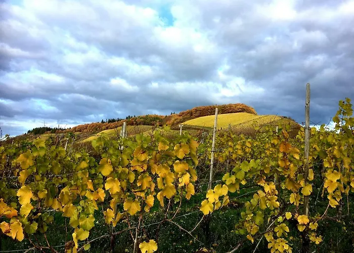 Zur Alten Rebe Und Weingut * Konz